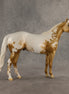 Clip Clop Cluck OOAK Ideal Stock Horse by Jess Hamill SHCF26