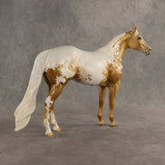 Clip Clop Cluck OOAK Ideal Stock Horse by Jess Hamill SHCF26