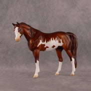 Close Encounters of the Third Flock OOAK Pebble Arabian Mare by Dawn Quick EQ26