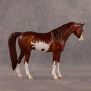 Close Encounters of the Third Flock OOAK Pebble Arabian Mare by Dawn Quick EQ26