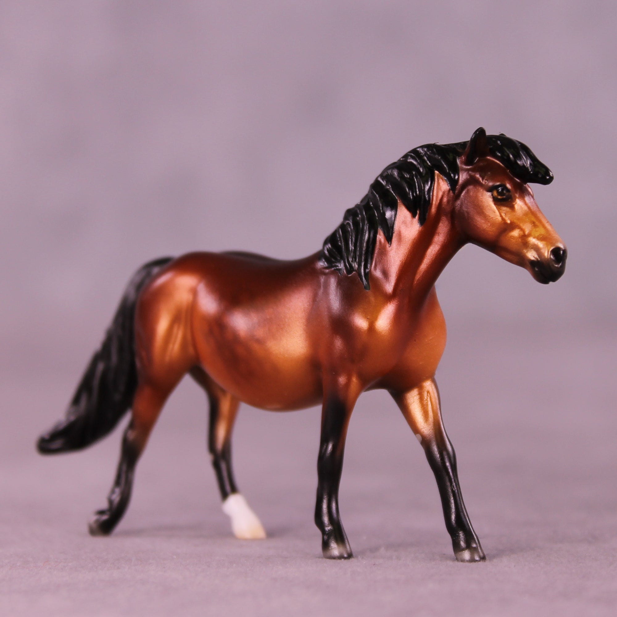 Clotho LE-10 Chip Pony by Ellen Robbins CL25