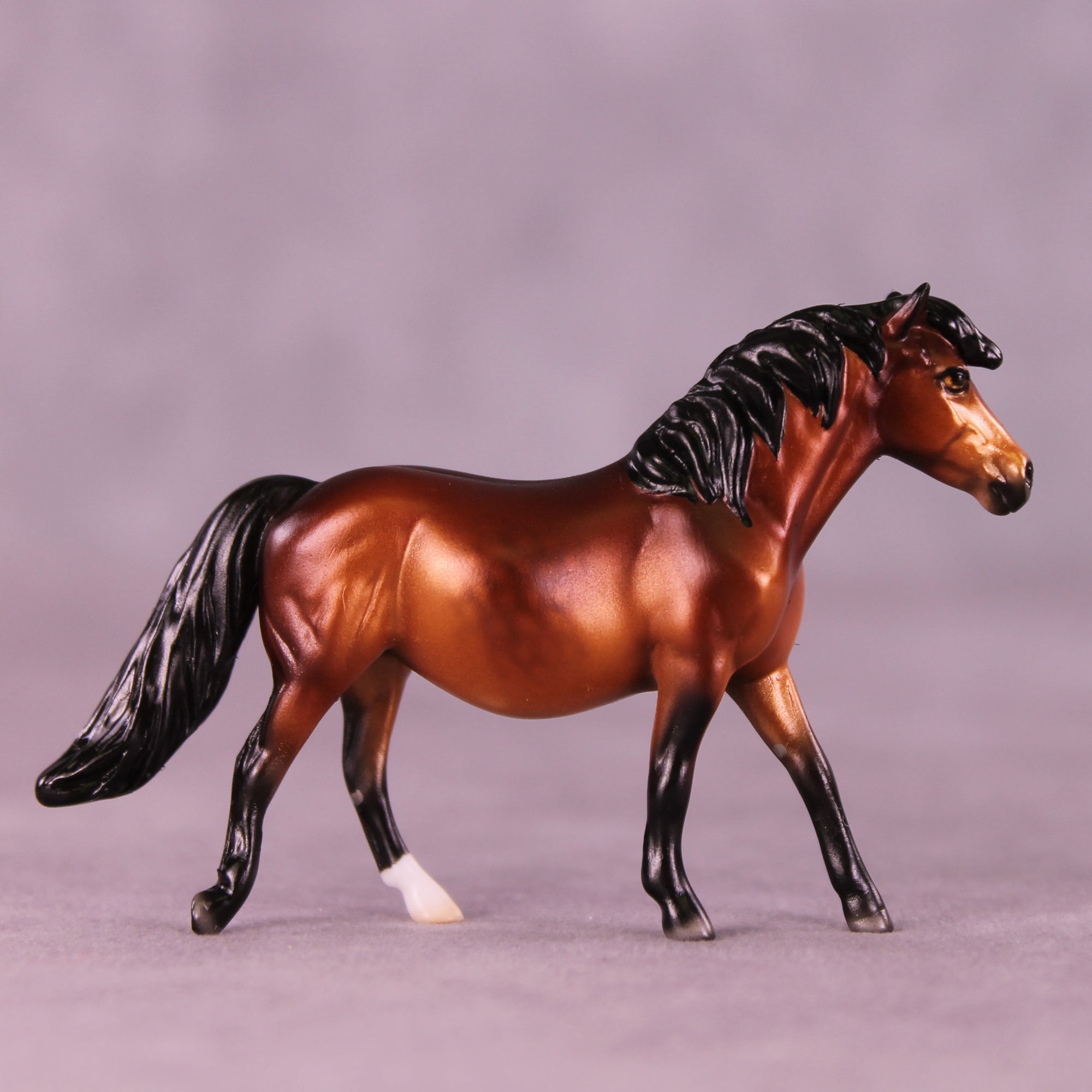 Clotho LE-10 Chip Pony by Ellen Robbins CL25