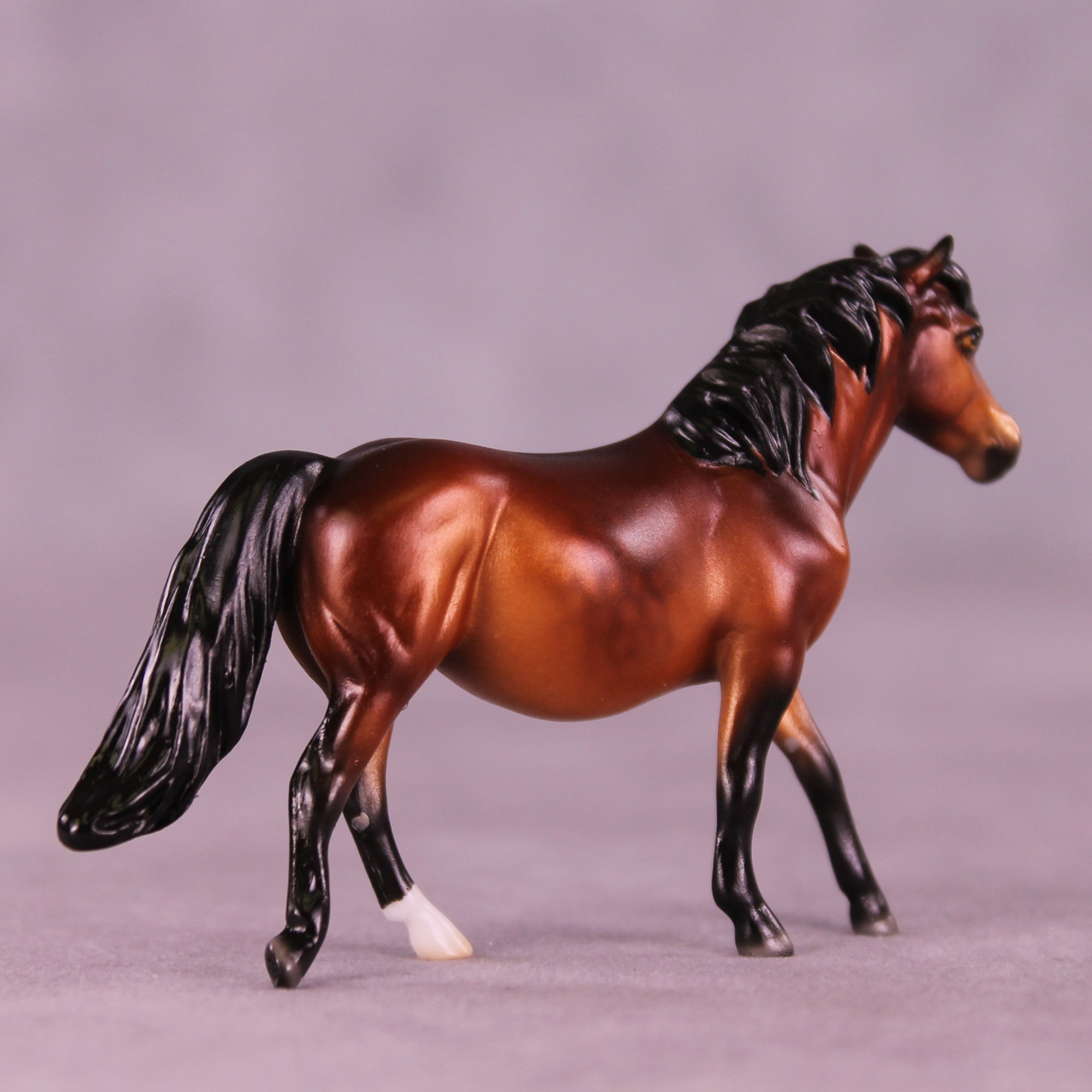 Clotho LE-10 Chip Pony by Ellen Robbins CL25