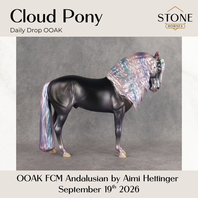 Cloud Pony OOAK FCM Andalusian by Aimi Hettinger DDOOAKs26