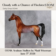 Cloudy With A Chance of Flockies OOAK Arabian Stallion by Madi Wiseman DDOOAKs26