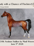 Cloudy With A Chance of Flockies OOAK Arabian Stallion by Madi Wiseman DDOOAKs26