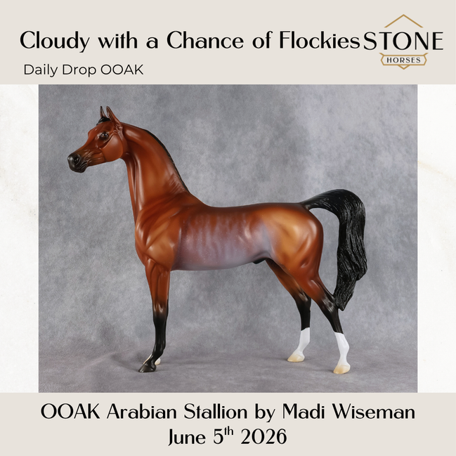 Cloudy With A Chance of Flockies OOAK Arabian Stallion by Madi Wiseman DDOOAKs26