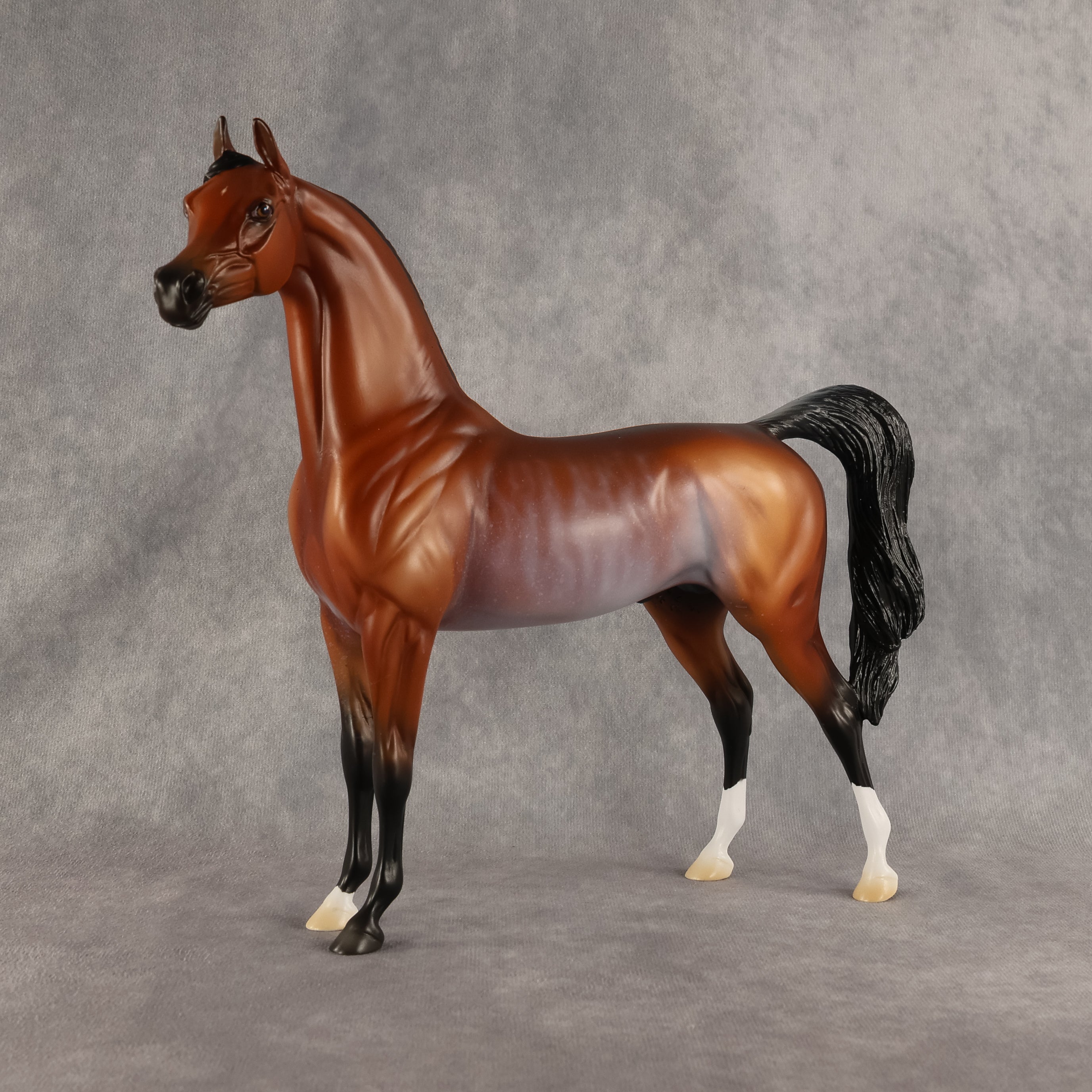 Cloudy With A Chance of Flockies OOAK Arabian Stallion by Madi Wiseman DDOOAKs26