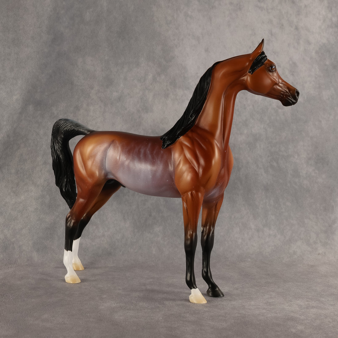 Cloudy With A Chance of Flockies OOAK Arabian Stallion by Madi Wiseman DDOOAKs26