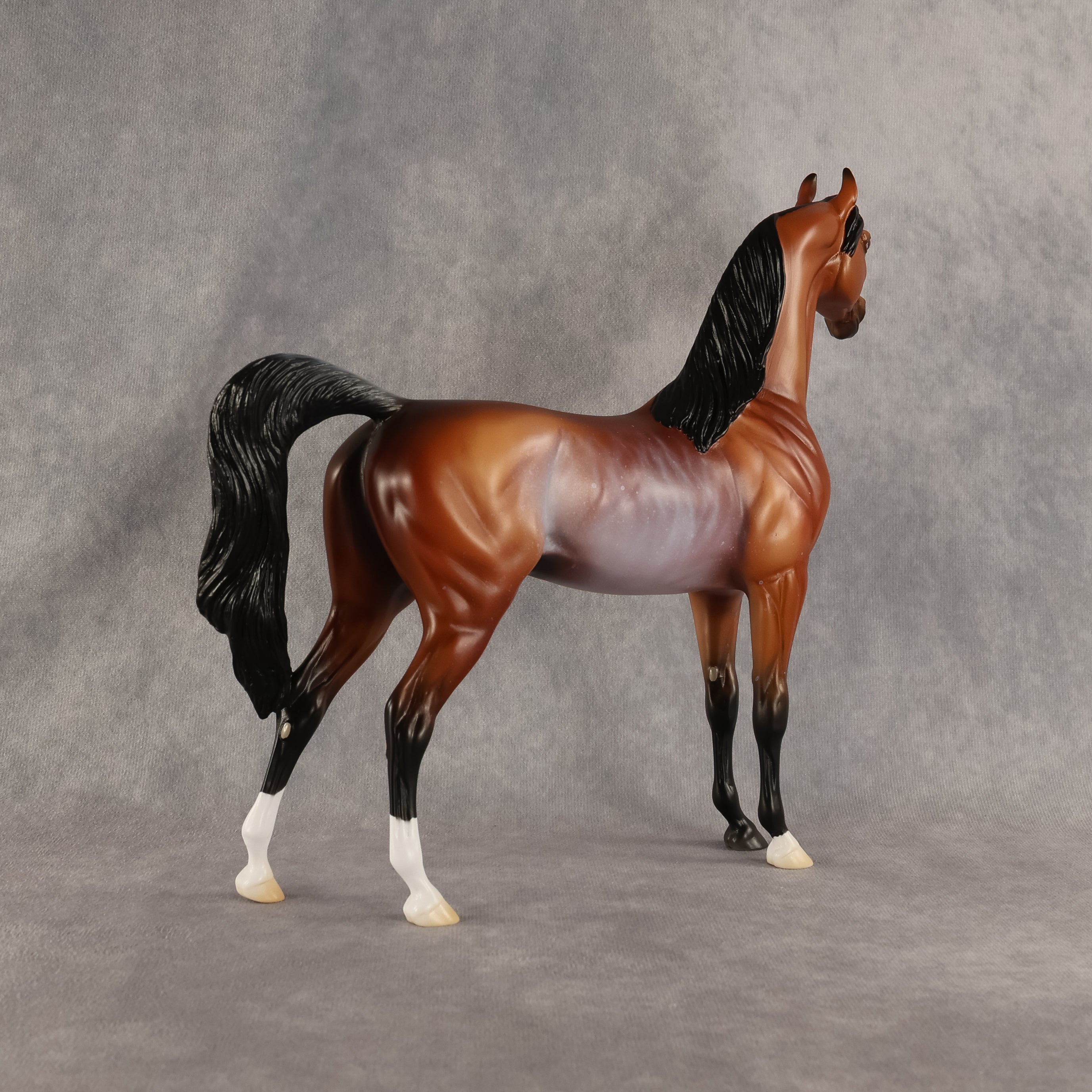 Cloudy With A Chance of Flockies OOAK Arabian Stallion by Madi Wiseman DDOOAKs26
