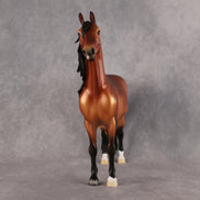 Clove OOAK FCM Morgan by Ellen Robbins MM26