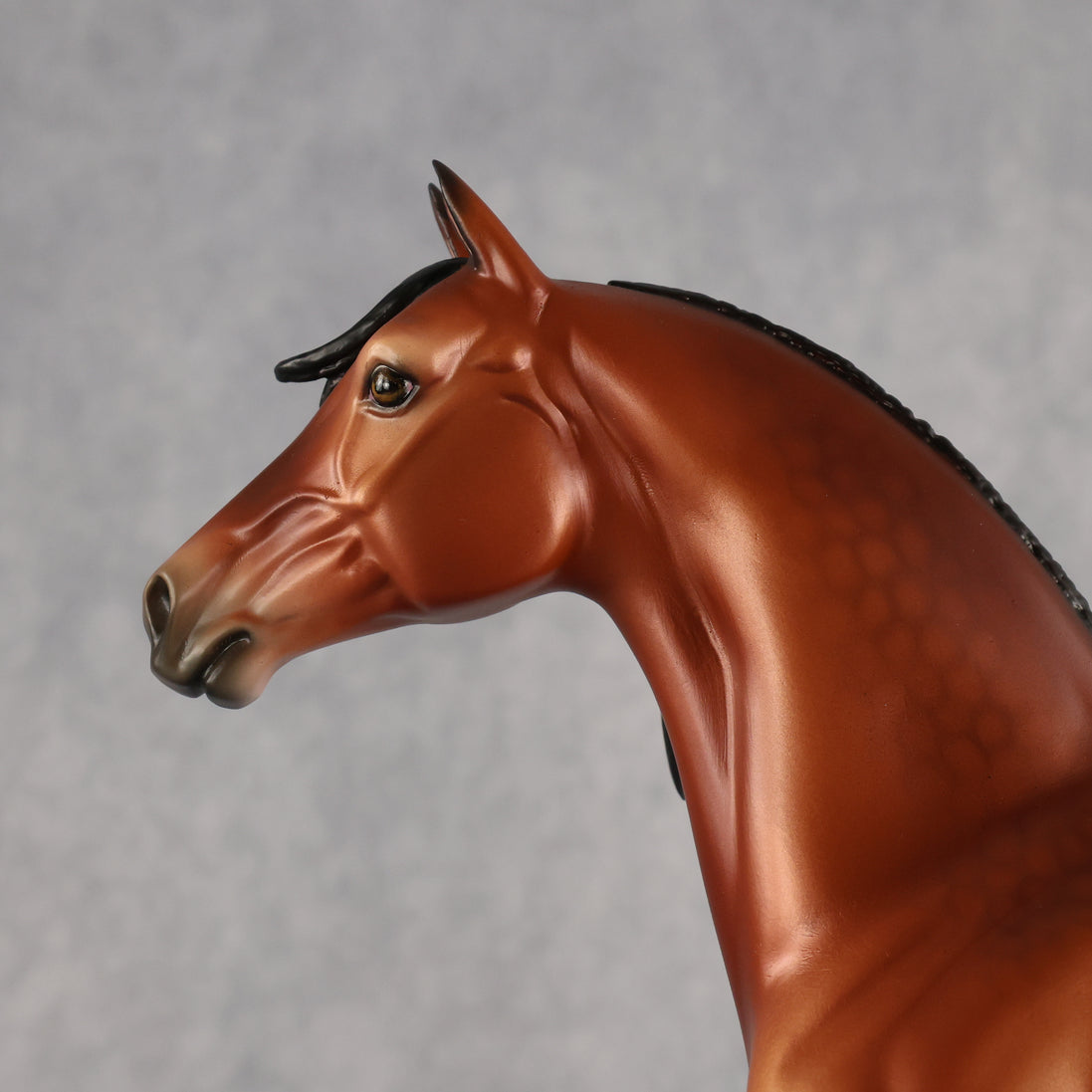 Clove OOAK FCM Morgan by Ellen Robbins MM26