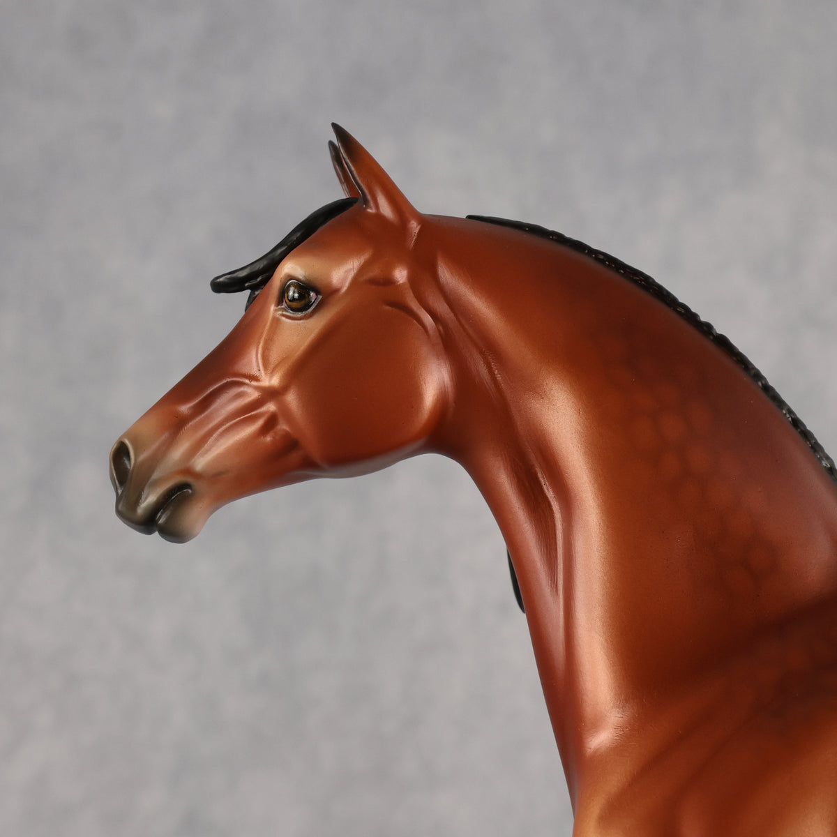 Clove OOAK FCM Morgan by Ellen Robbins MM26