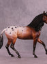 Clove OOAK Arabian Mare by Ellen Robbins MM25 Group D