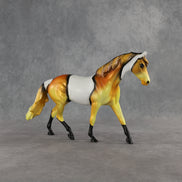 Clownfish LE-5 Pony by Enrique Duarte ES26