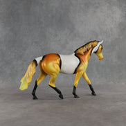 Clownfish LE-5 Pony by Enrique Duarte ES26