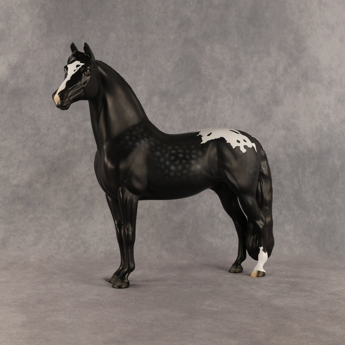 Cockatoo OOAK FCM Morgan by Madi Wiseman SHCF26