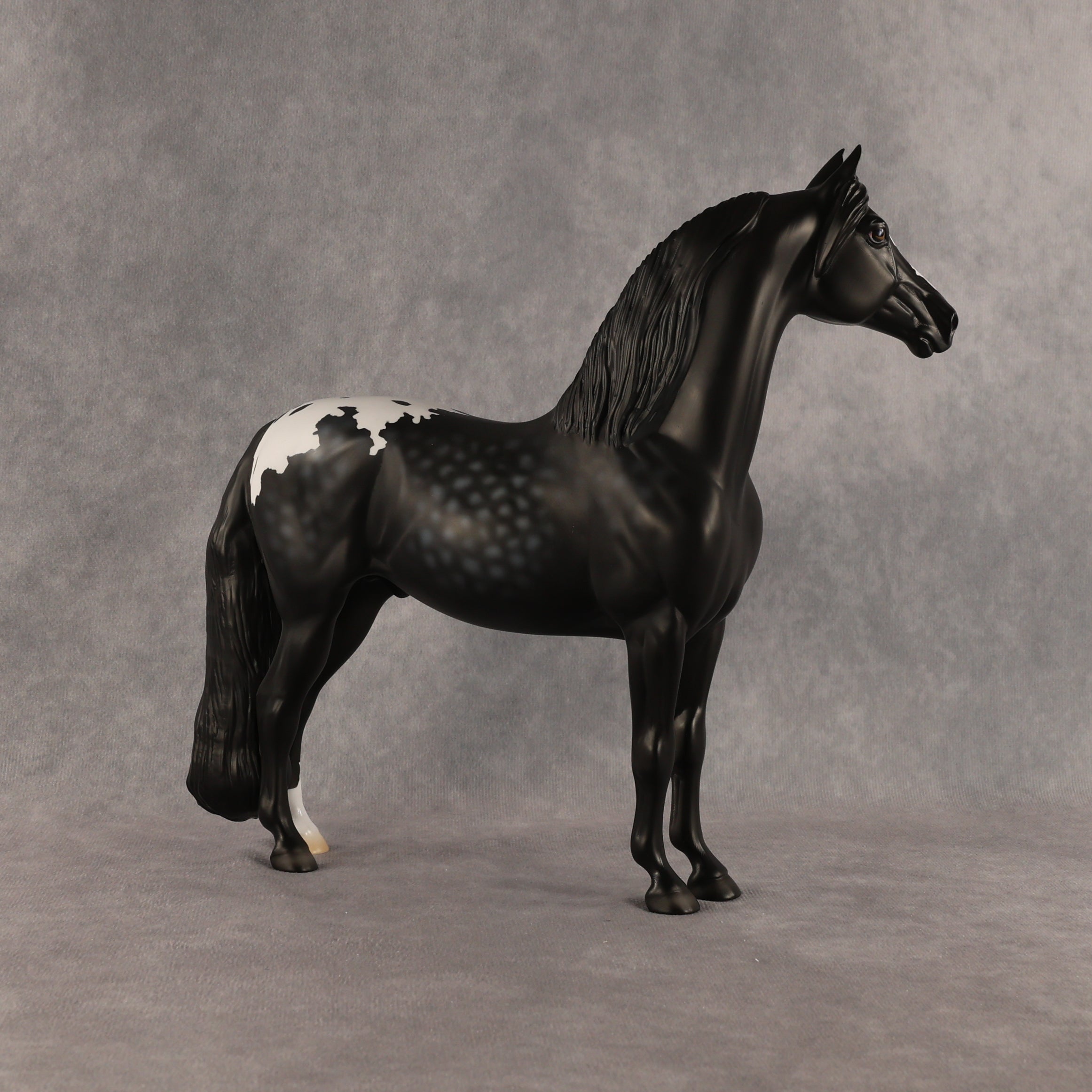 Cockatoo OOAK FCM Morgan by Madi Wiseman SHCF26