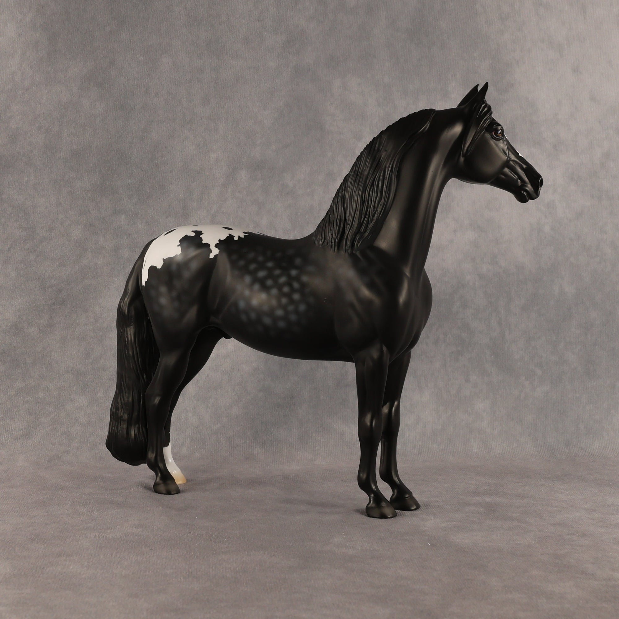 Cockatoo OOAK FCM Morgan by Madi Wiseman SHCF26