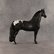 Cockatoo OOAK FCM Morgan by Madi Wiseman SHCF26