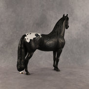 Cockatoo OOAK FCM Morgan by Madi Wiseman SHCF26