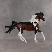 Columbia LE-15 FCM Arabian Mare by Alex Fortman EQ26