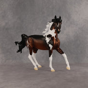 Columbia LE-15 FCM Arabian Mare by Alex Fortman EQ26