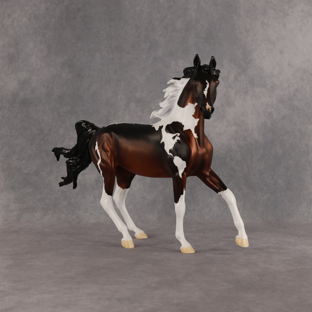 Columbia LE-15 FCM Arabian Mare by Alex Fortman EQ26