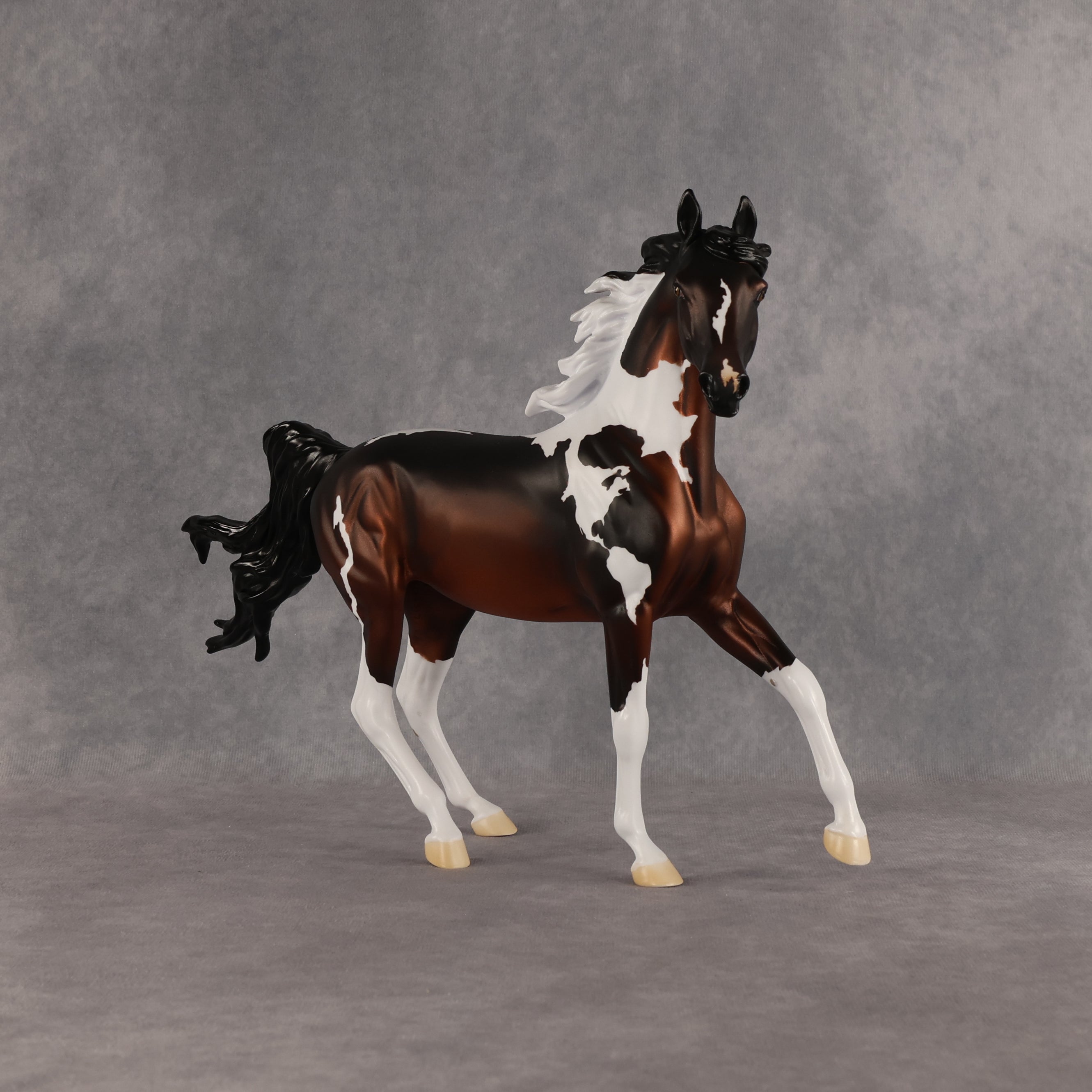 Columbia LE-15 FCM Arabian Mare by Alex Fortman EQ26