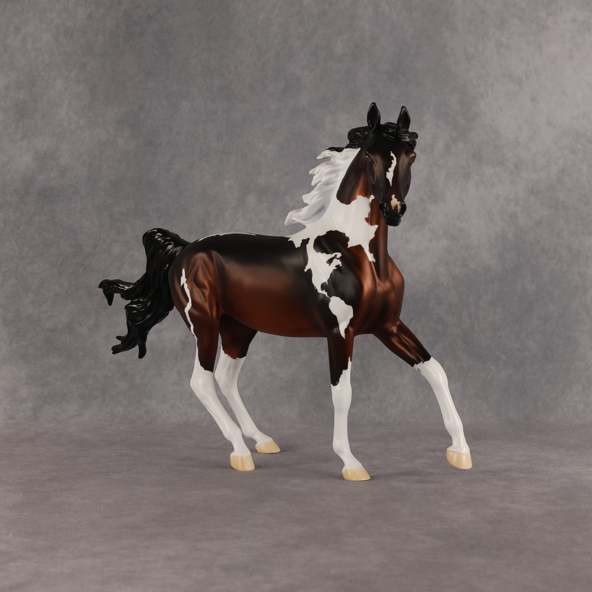 Columbia LE-15 FCM Arabian Mare by Alex Fortman EQ26