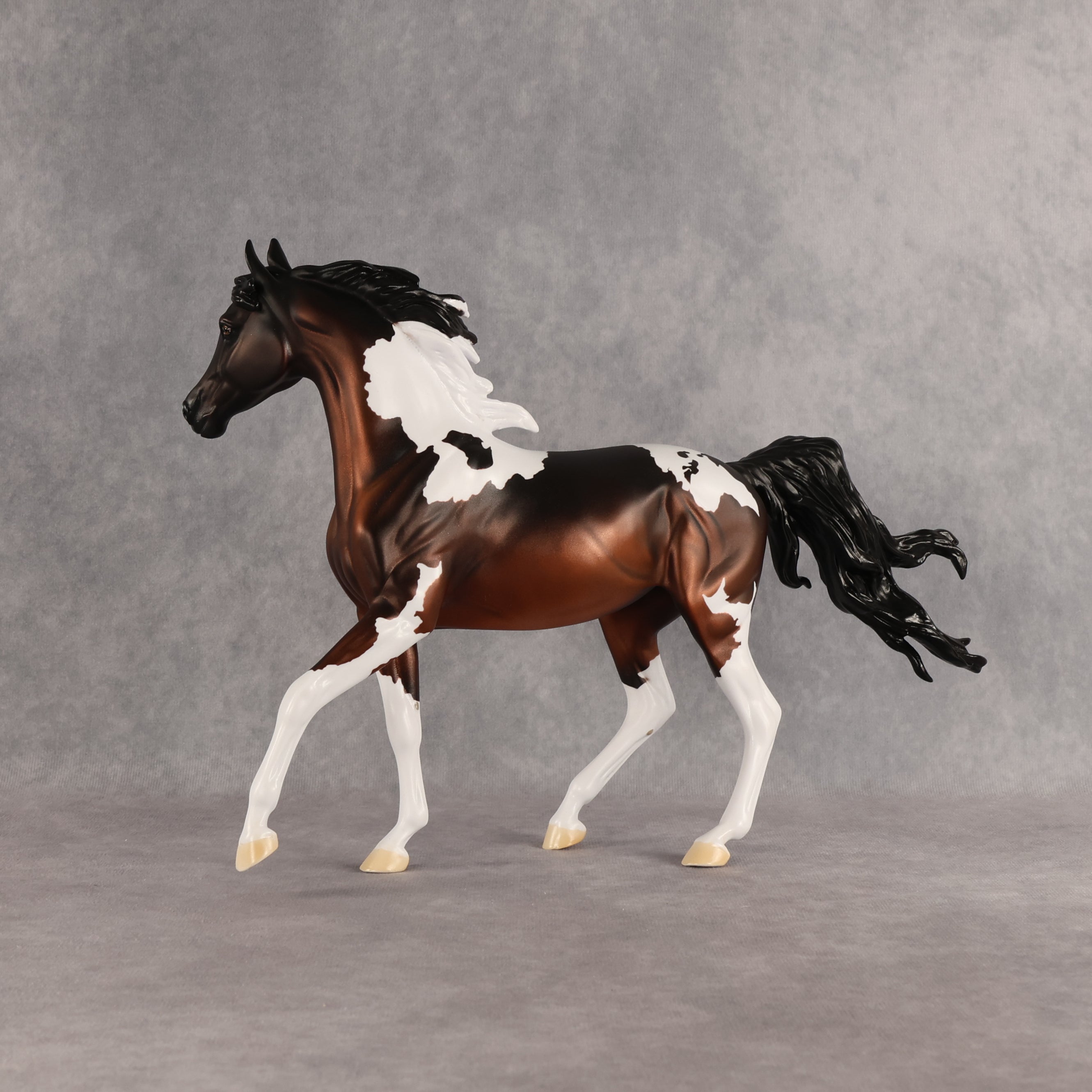 Columbia LE-15 FCM Arabian Mare by Alex Fortman EQ26