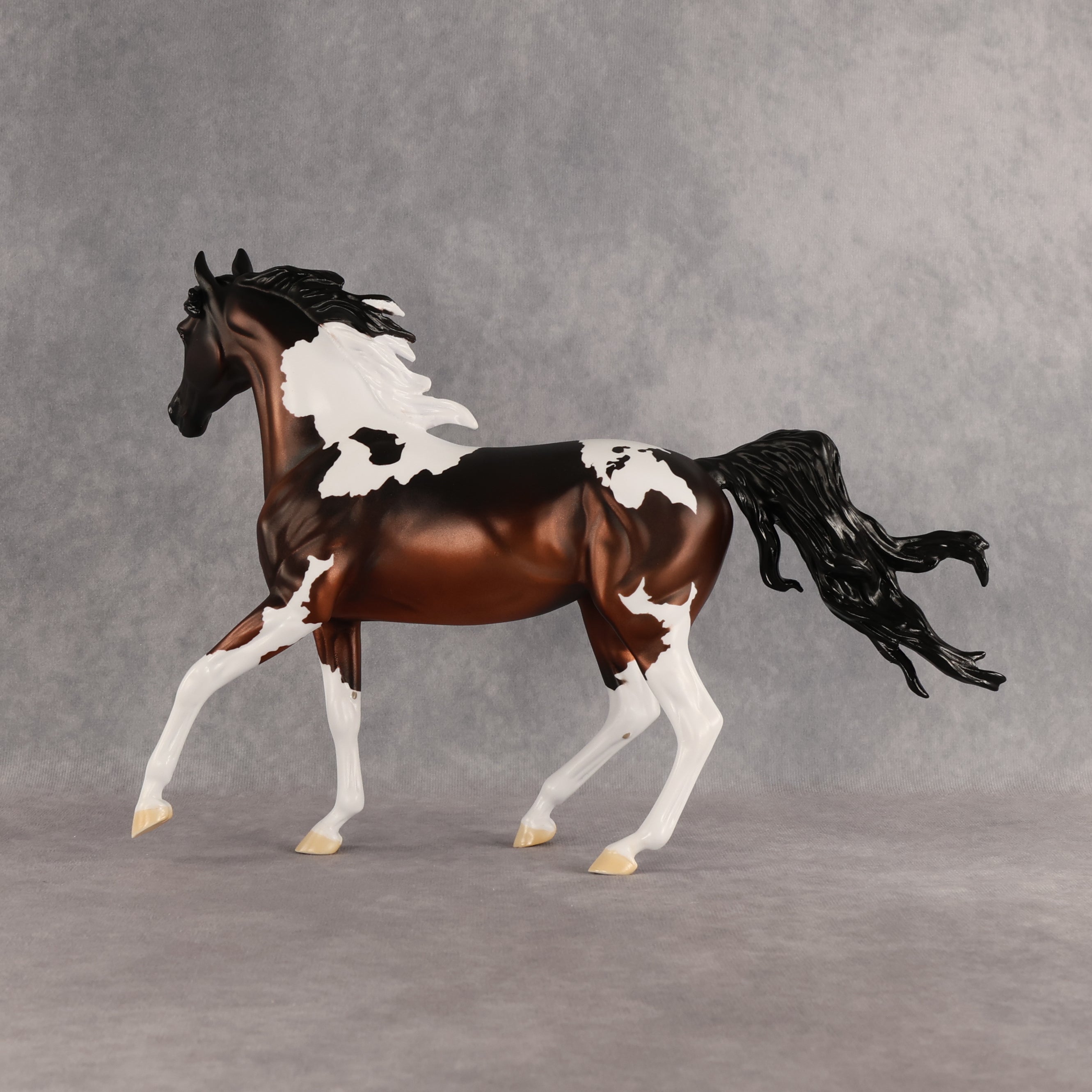 Columbia LE-15 FCM Arabian Mare by Alex Fortman EQ26