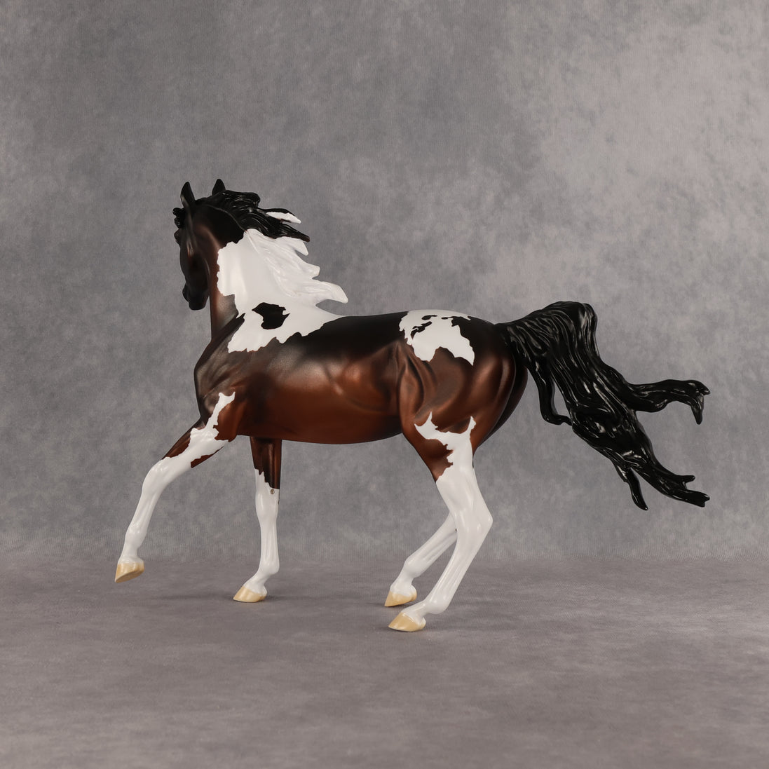 Columbia LE-15 FCM Arabian Mare by Alex Fortman EQ26
