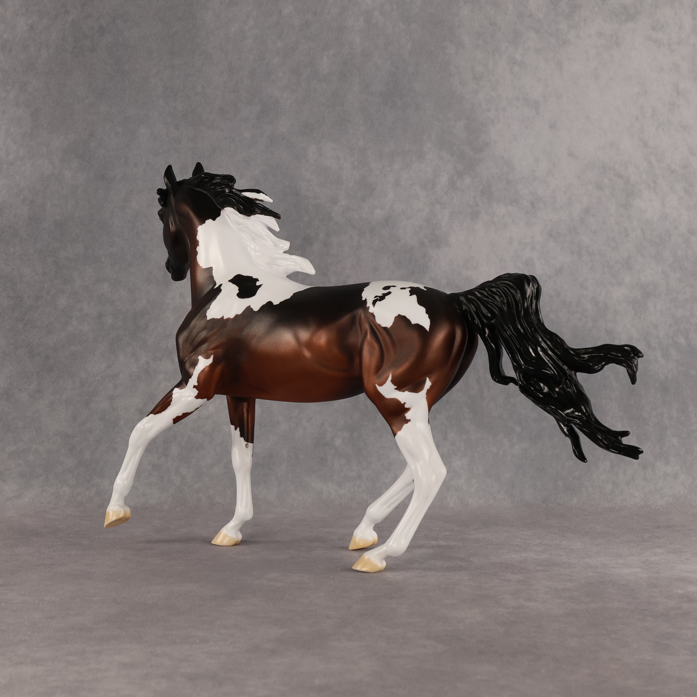 Columbia LE-15 FCM Arabian Mare by Alex Fortman EQ26