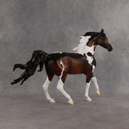 Columbia LE-15 FCM Arabian Mare by Alex Fortman EQ26