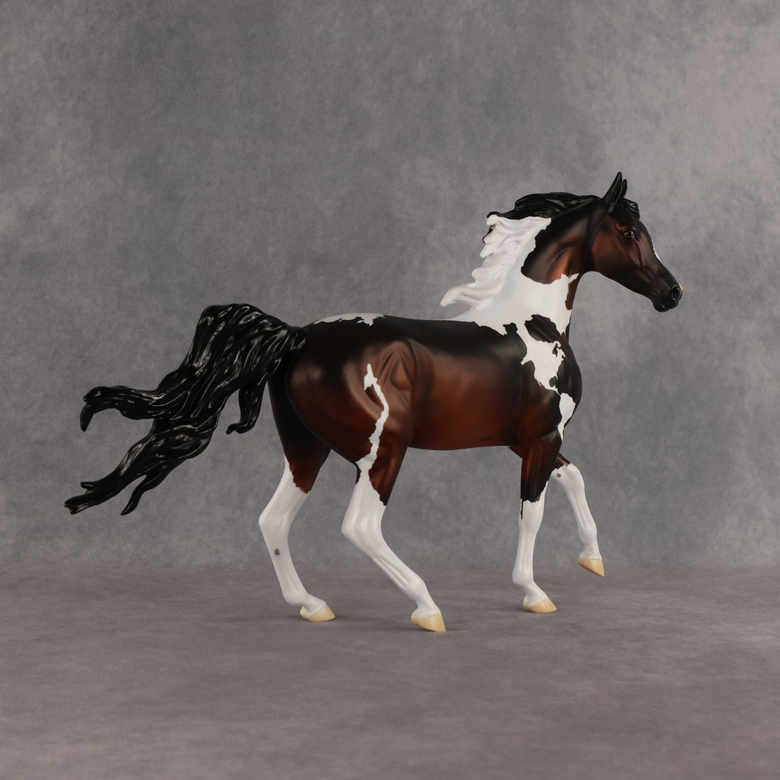 Columbia LE-15 FCM Arabian Mare by Alex Fortman EQ26