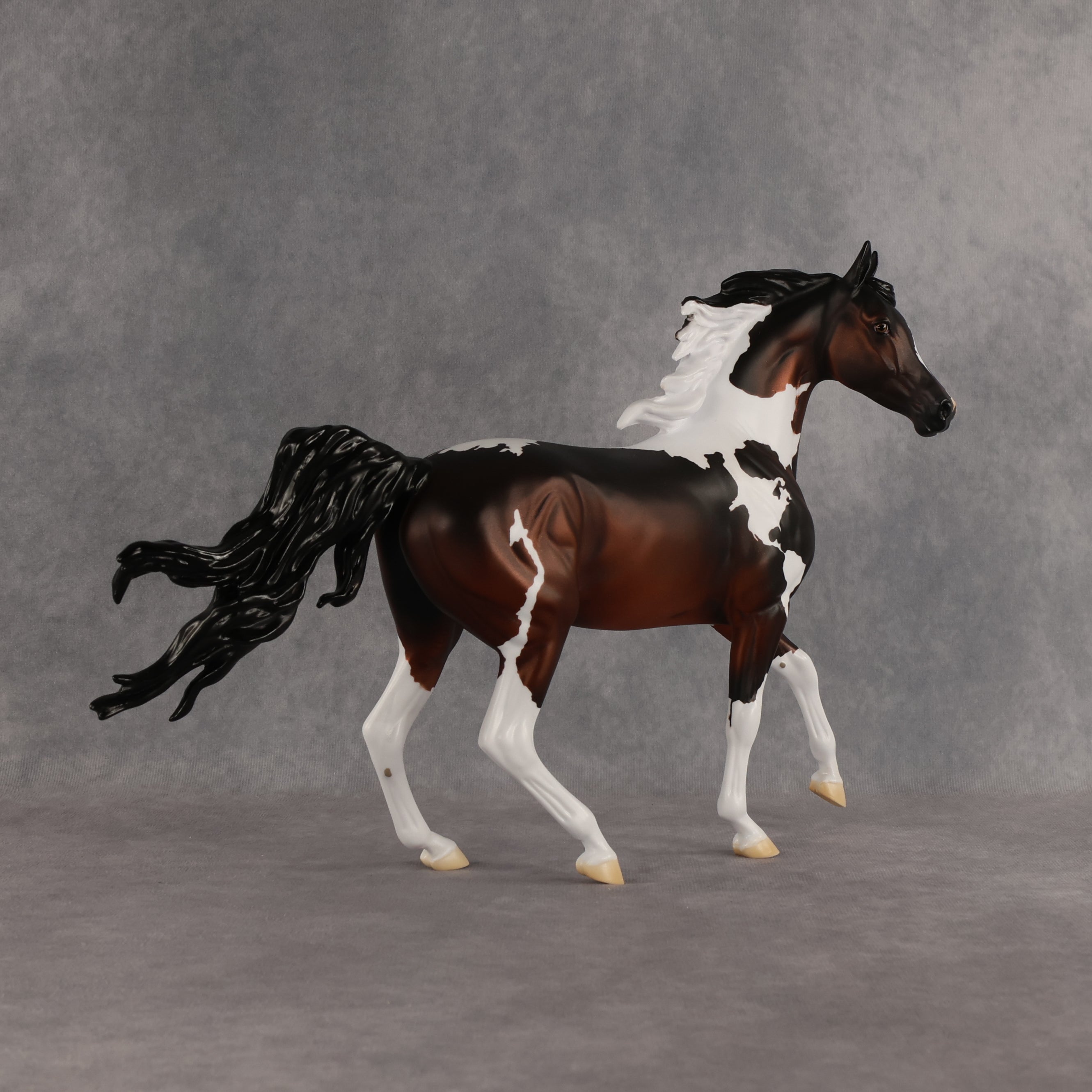 Columbia LE-15 FCM Arabian Mare by Alex Fortman EQ26