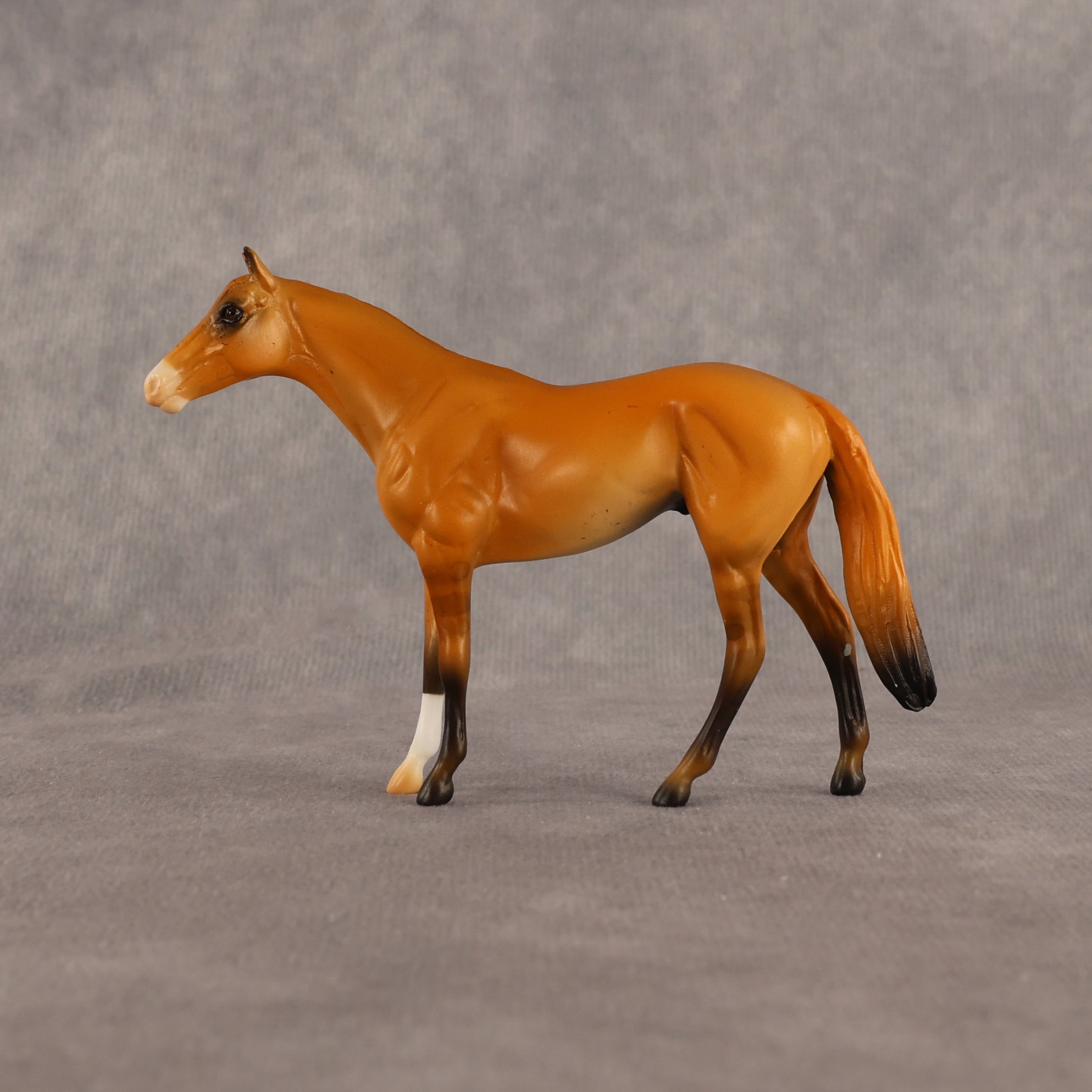 Common Knowledge OOAK Chip Thoroughbred  by Alex Fortman EQ26
