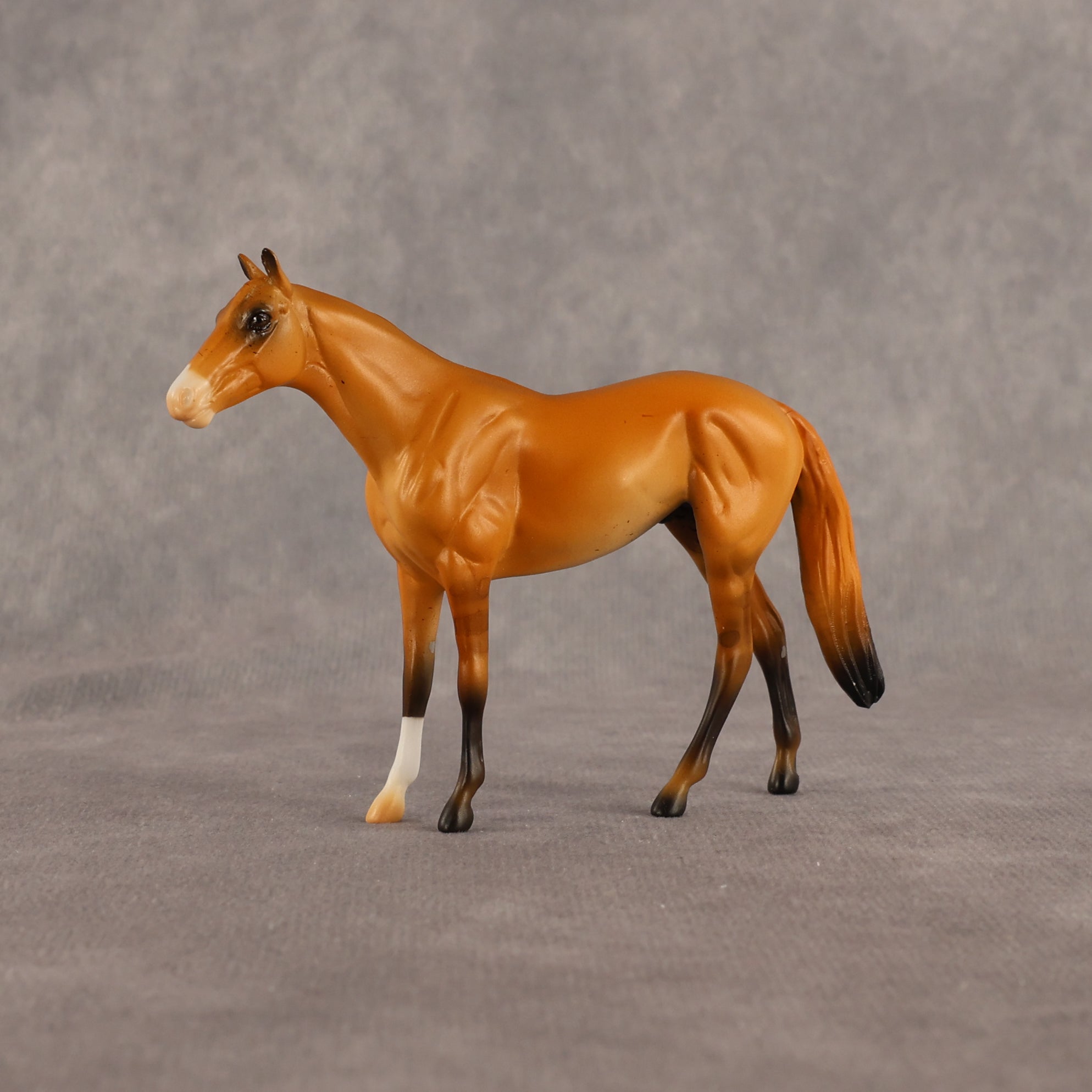 Common Knowledge OOAK Chip Thoroughbred  by Alex Fortman EQ26