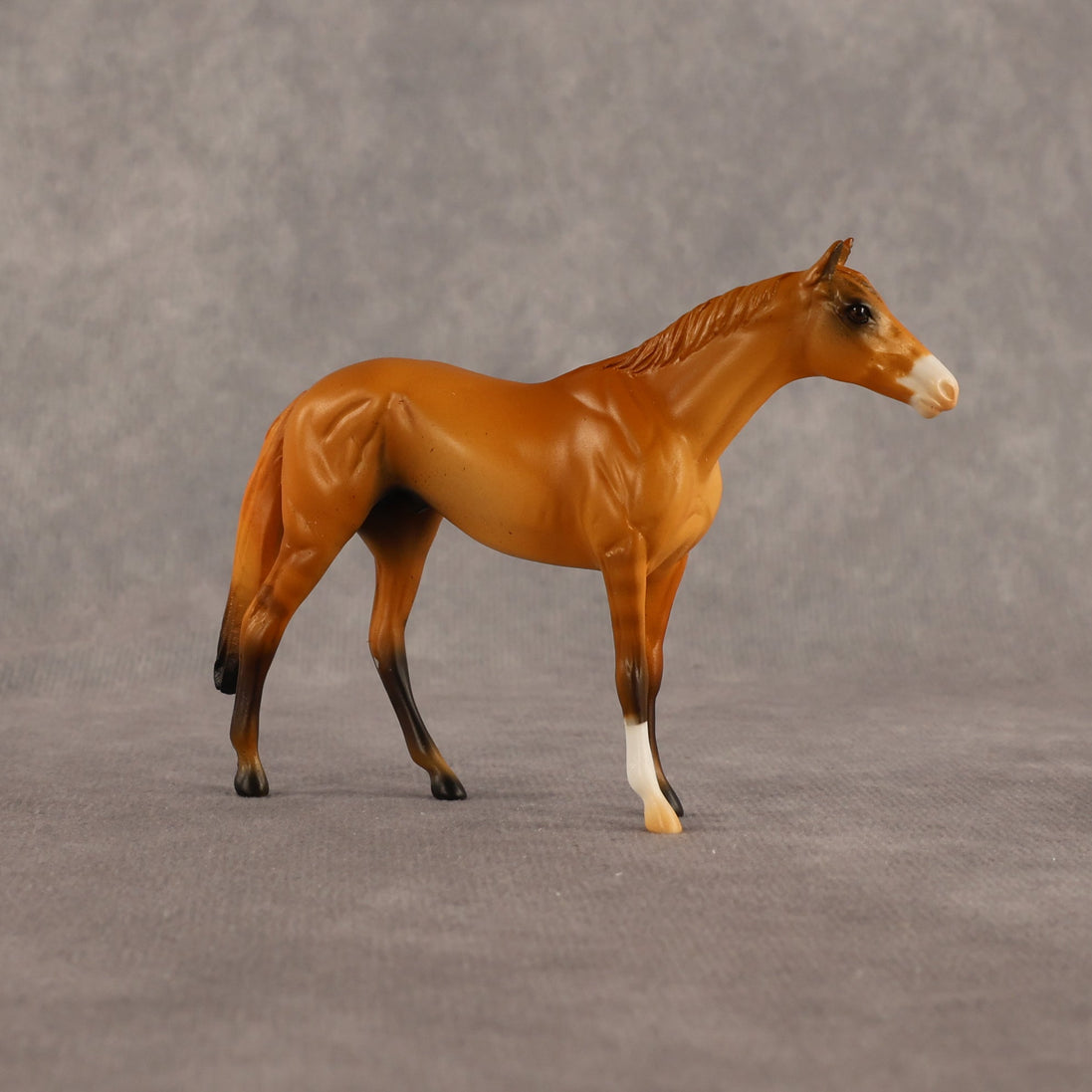 Common Knowledge OOAK Chip Thoroughbred  by Alex Fortman EQ26
