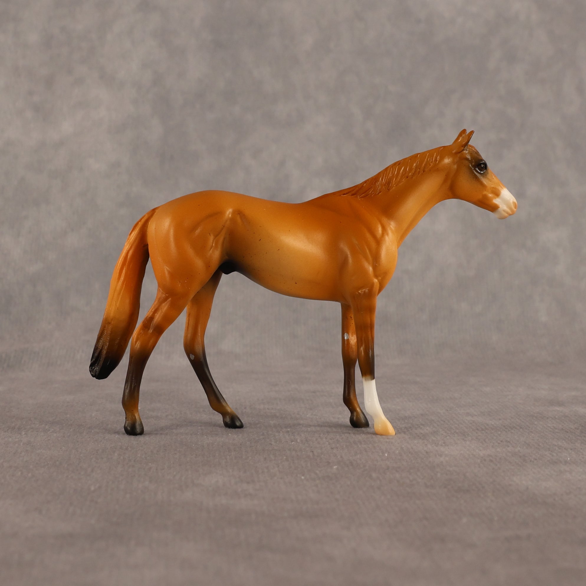 Common Knowledge OOAK Chip Thoroughbred  by Alex Fortman EQ26