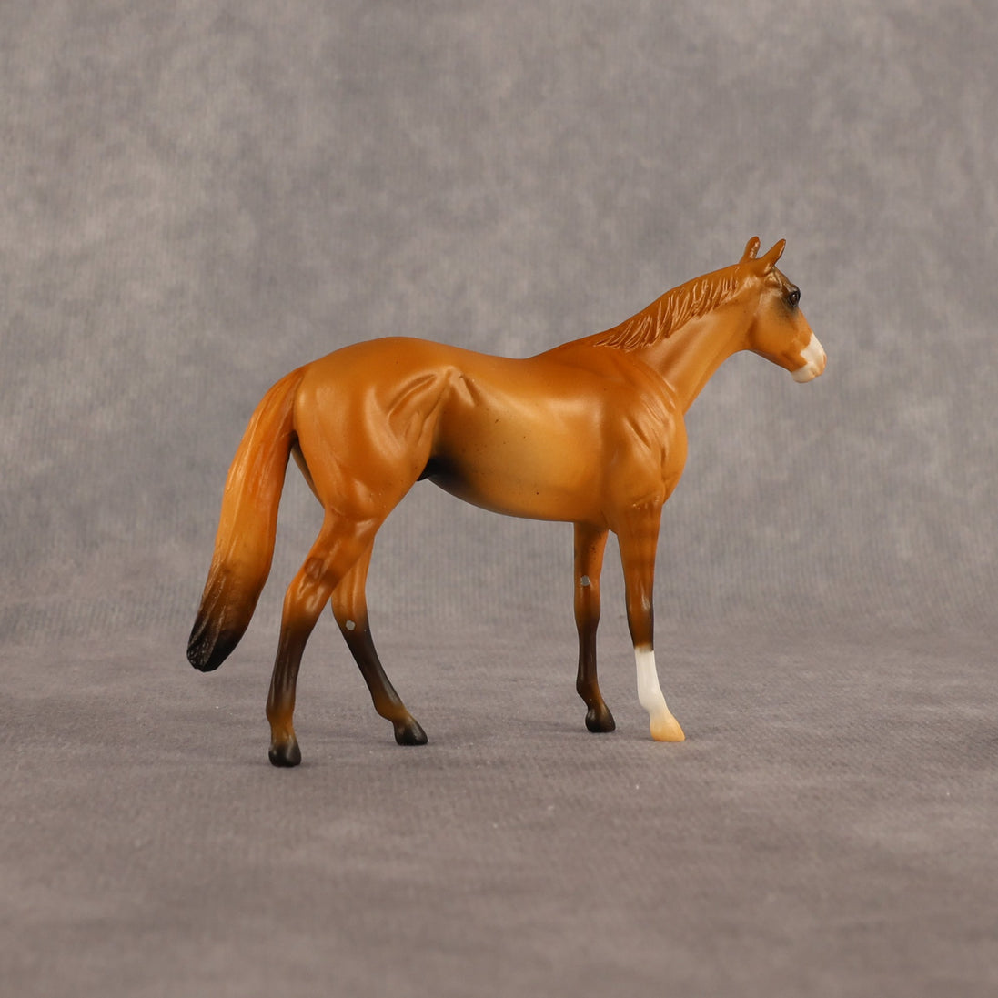 Common Knowledge OOAK Chip Thoroughbred  by Alex Fortman EQ26