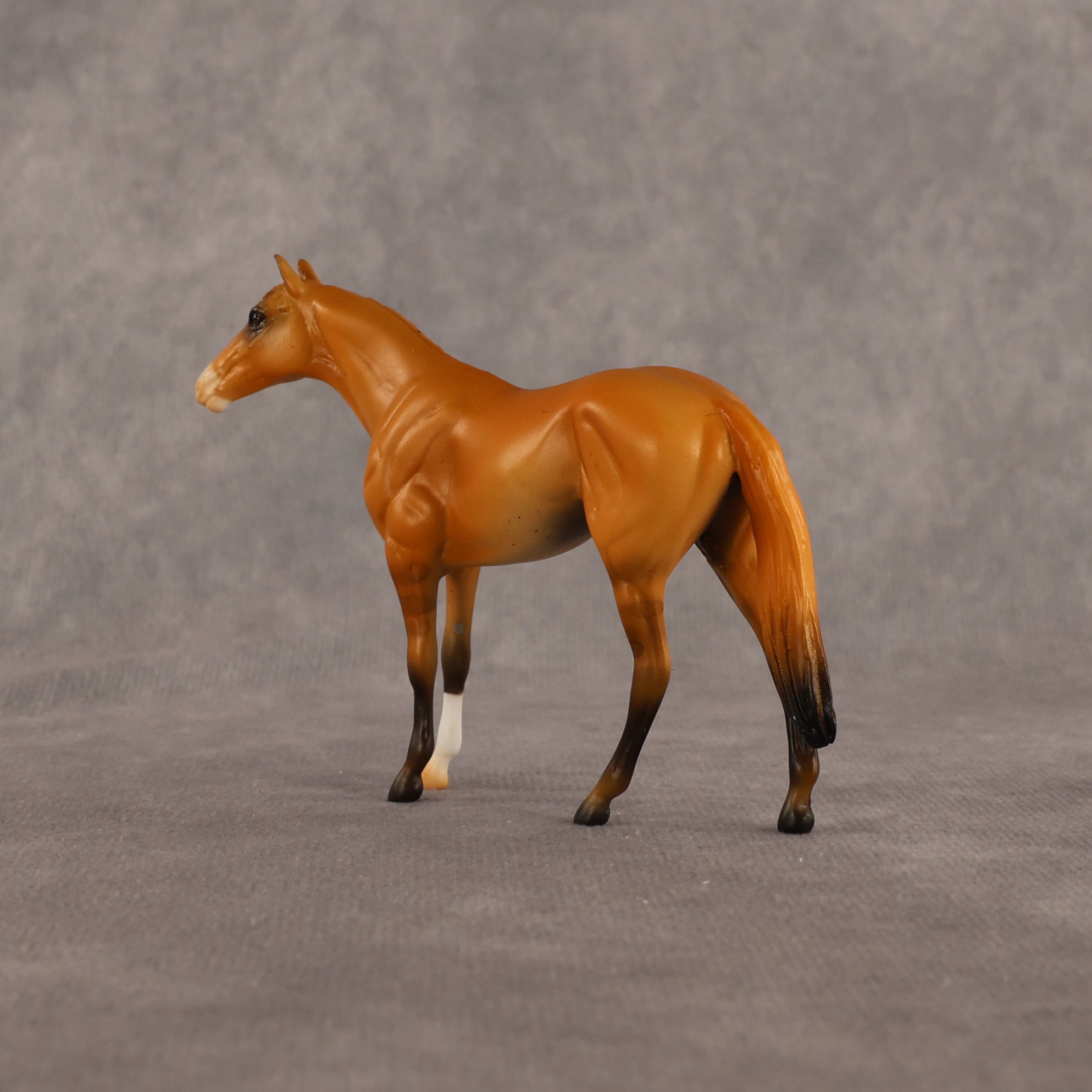 Common Knowledge OOAK Chip Thoroughbred  by Alex Fortman EQ26