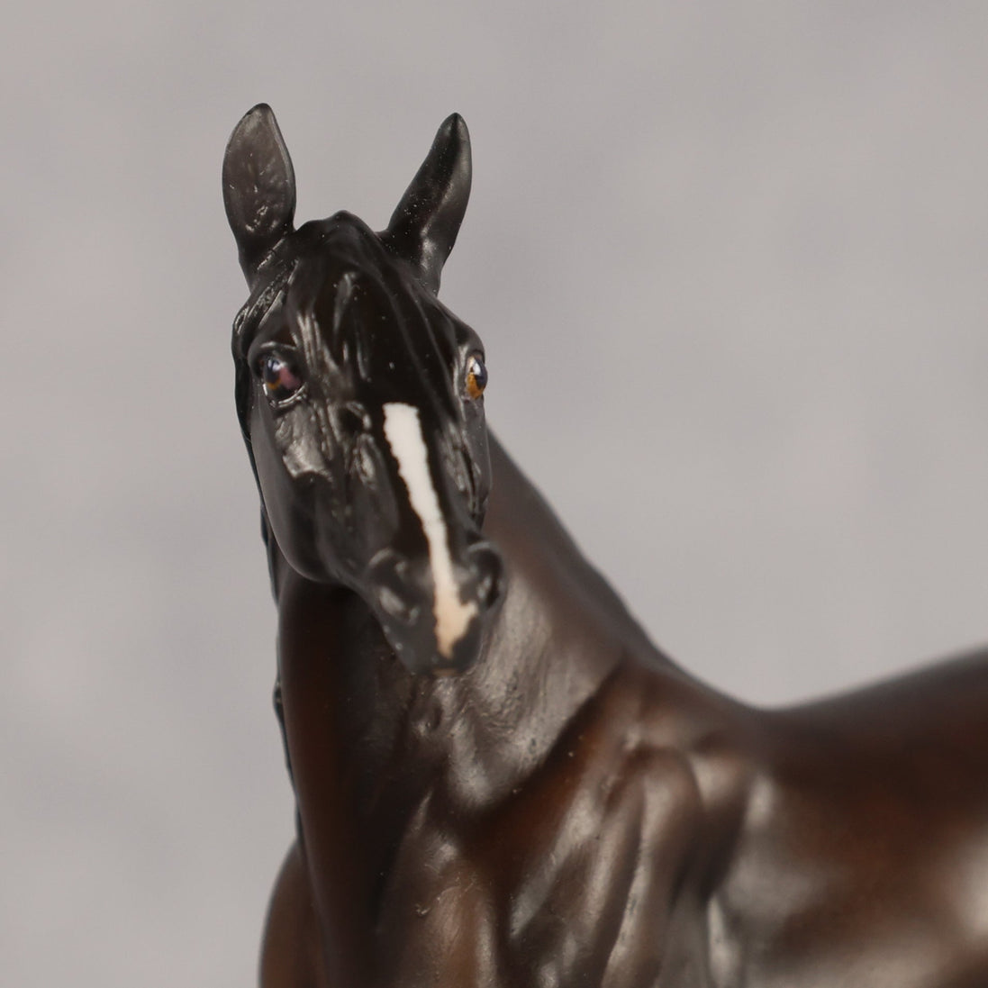 Compadre OOAK FCM Chip Andalusian by Madi Wiseman & Melanie Miller LHS26