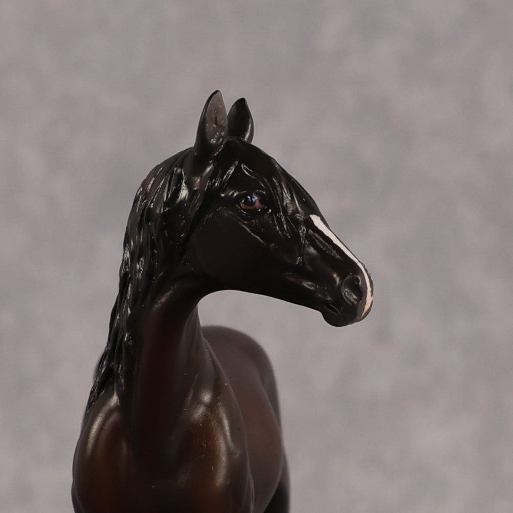 Compadre OOAK FCM Chip Andalusian by Madi Wiseman & Melanie Miller LHS26