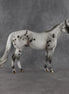 Conch OOAK Ideal Stock Horse by Madi Wiseman EQ26