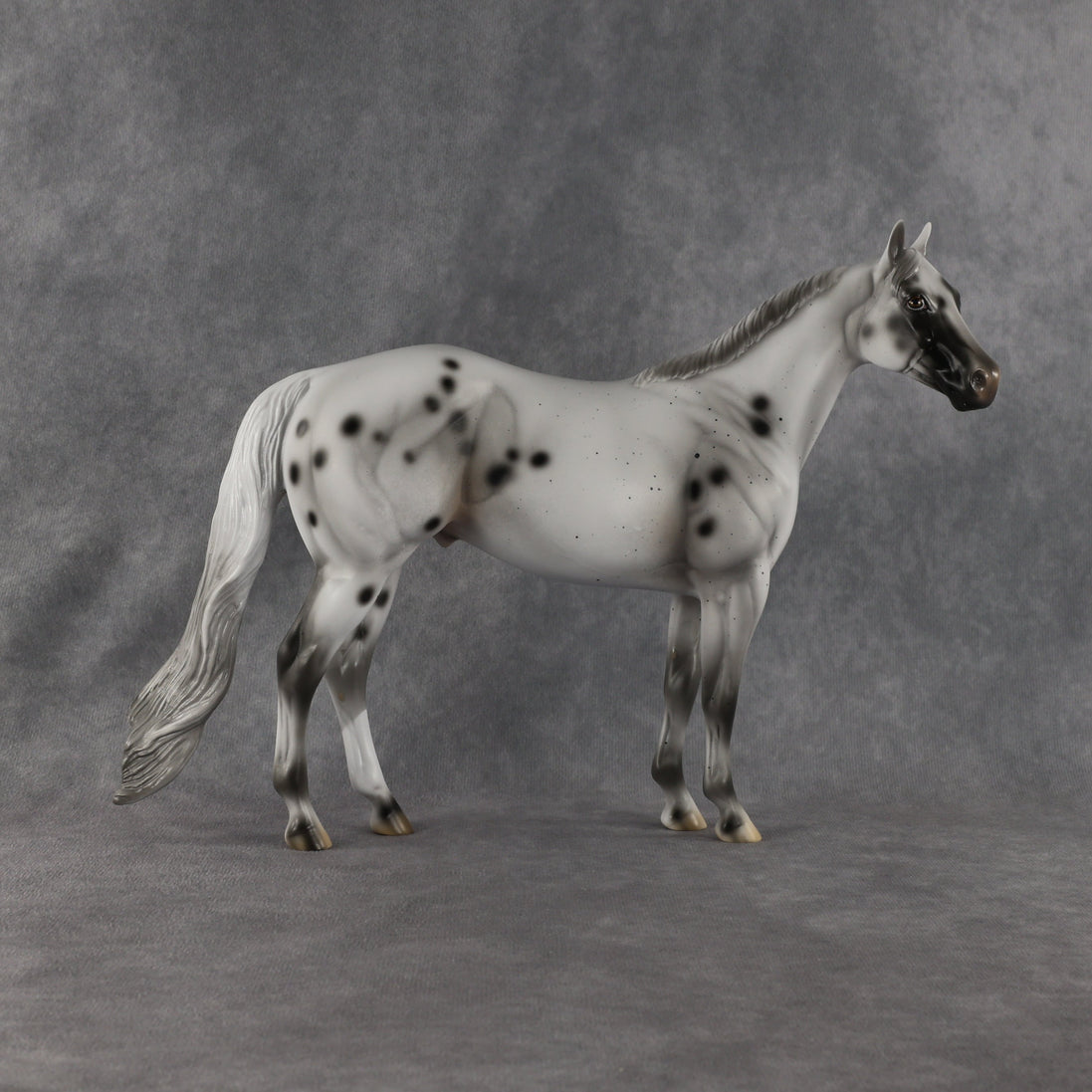 Conch OOAK Ideal Stock Horse by Madi Wiseman EQ26