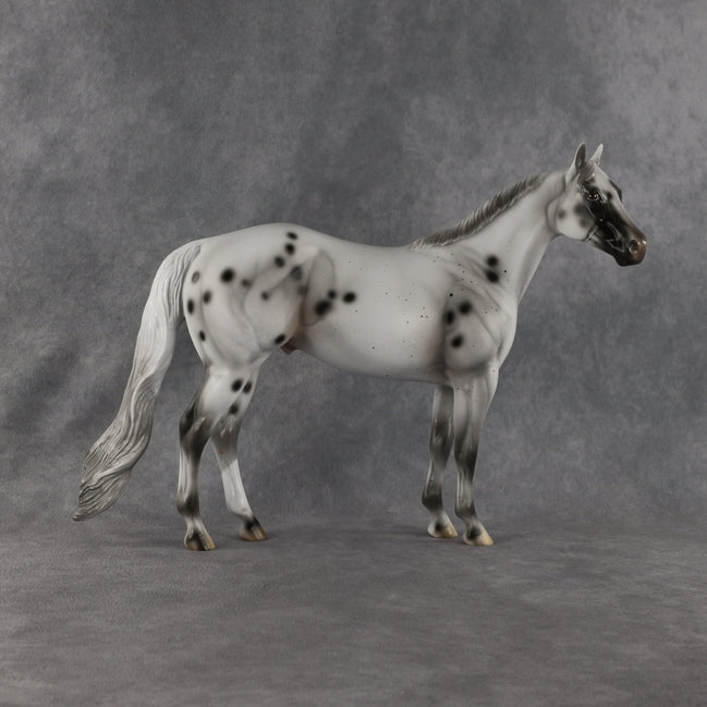 Conch OOAK Ideal Stock Horse by Madi Wiseman EQ26