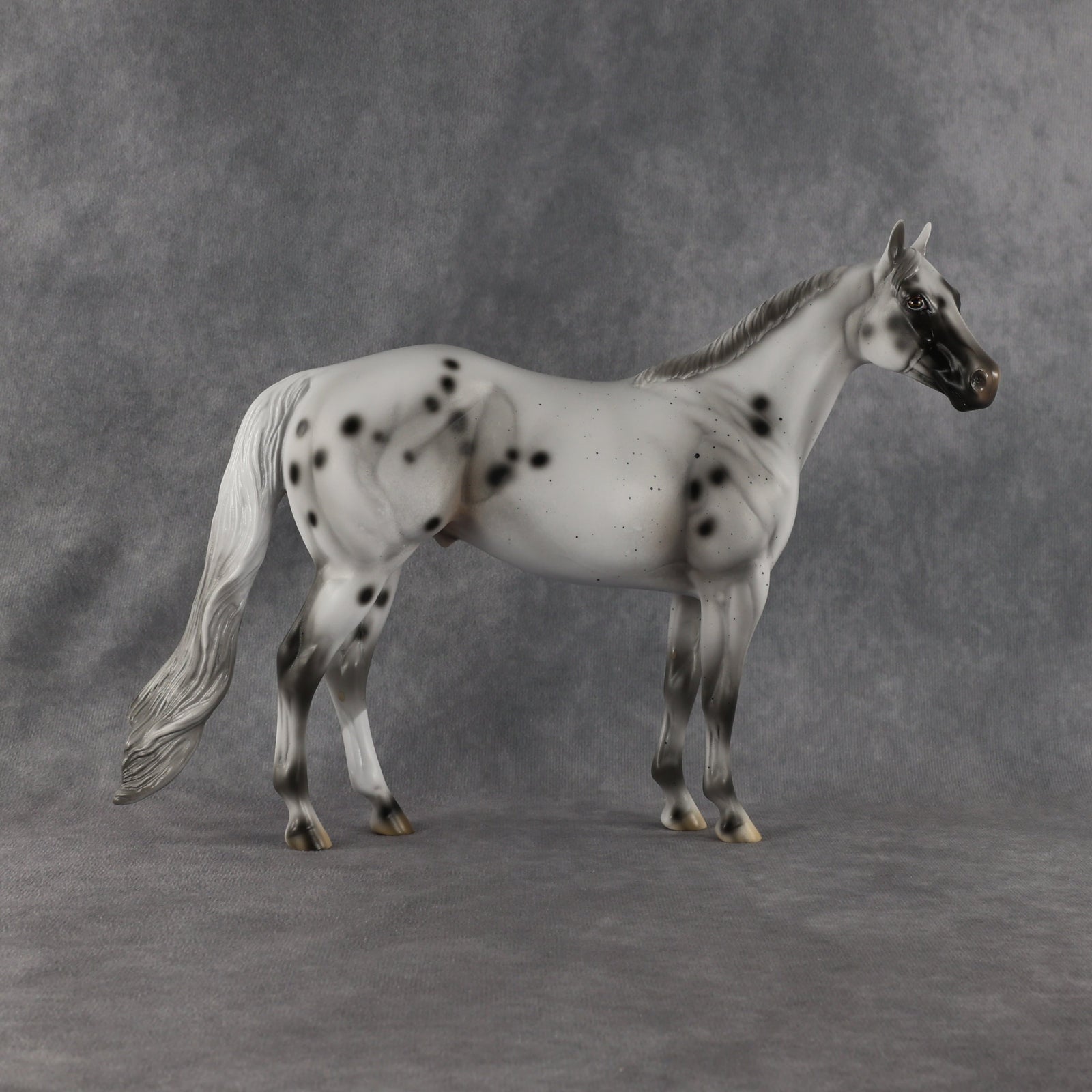 Conch OOAK Ideal Stock Horse by Madi Wiseman EQ26
