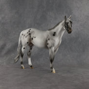 Conch OOAK Ideal Stock Horse by Madi Wiseman EQ26
